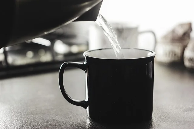 PFAS Countertop Water Filter: Easy Home Filtration Options