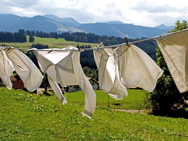 PFAS in Dry Cleaning: Chemicals and What to Ask About