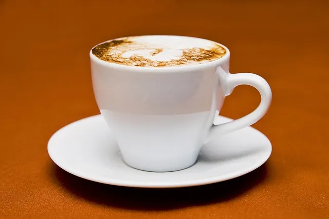 PFAS Free Disposable Coffee Cups