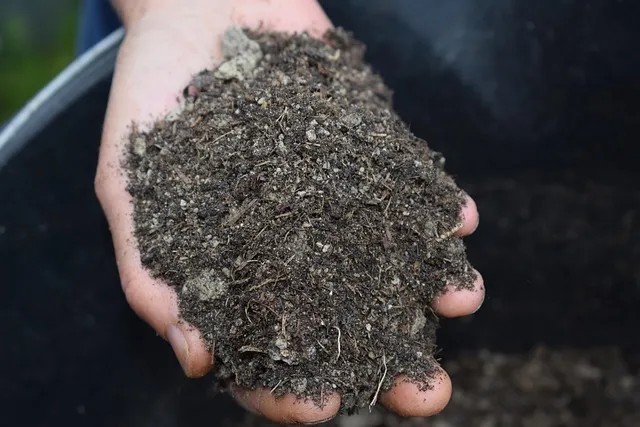 PFAS Free Gardening Supplies: Safe & Microplastic-Free Choices