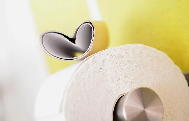 PFAS Free Toilet Paper: Safe, Non-Plastic Choice