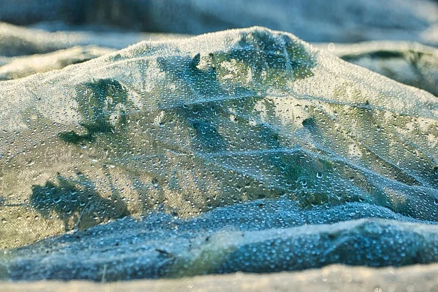 PFAS in Fleece Jackets: Microplastic and Chemical Risks Explained