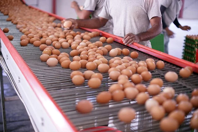 Hidden PFAS in the Food Supply Chain: Sources You Never See