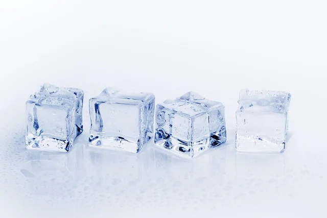 PFAS in Ice Makers: Is Your Refrigerator Ice Safe?