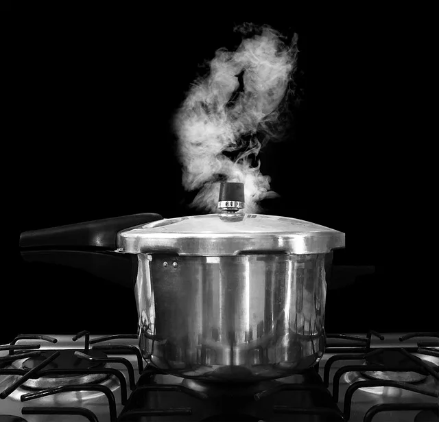 PFAS in Instant Pot: Is the Inner Pot Safe for Cooking?