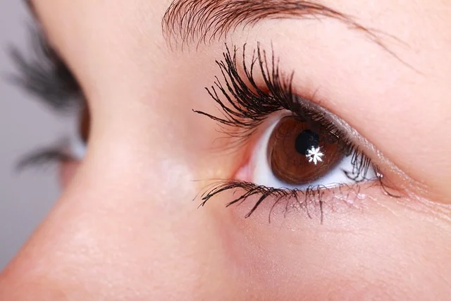 PFAS Free Mascara: Safer Eye Makeup Options