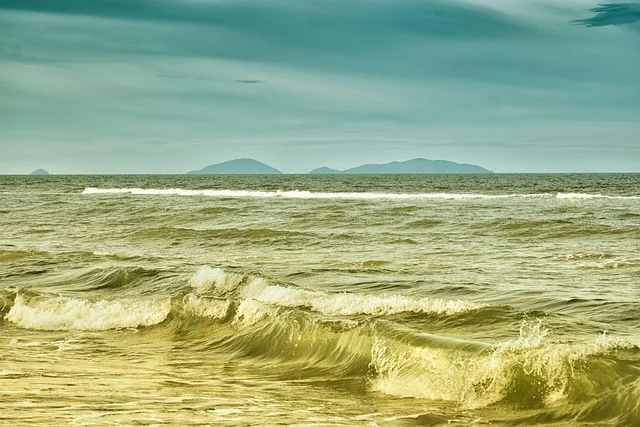 PFAS in Ocean Water: What Surfers and Beach Goers Should Know