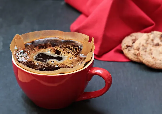 PFAS-Free Coffee Filters