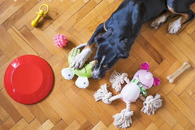 PFAS-Free Dog Chew Toys