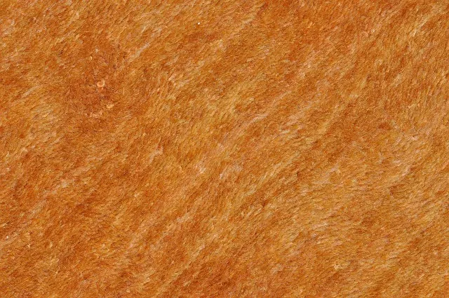 PFAS Free Carpet: Safe Wool Carpet Choices for Homes